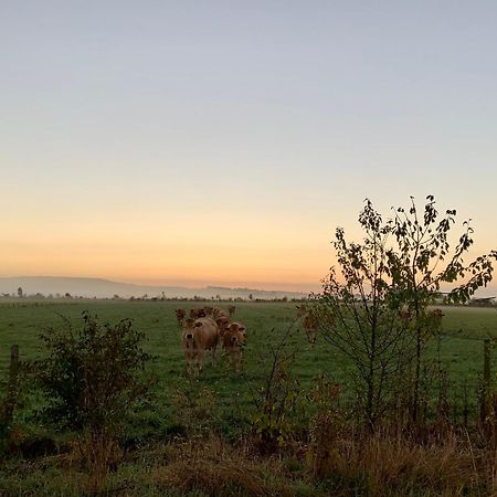 La Gouronerie Bed & Breakfast Parcay-sur-Vienne Dış mekan fotoğraf
